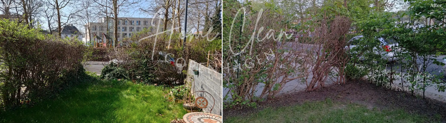 Before and after hedge trimming service in Copenhagen, showing an overgrown front garden before and a cleaner, freshly trimmed hedge area after the service.