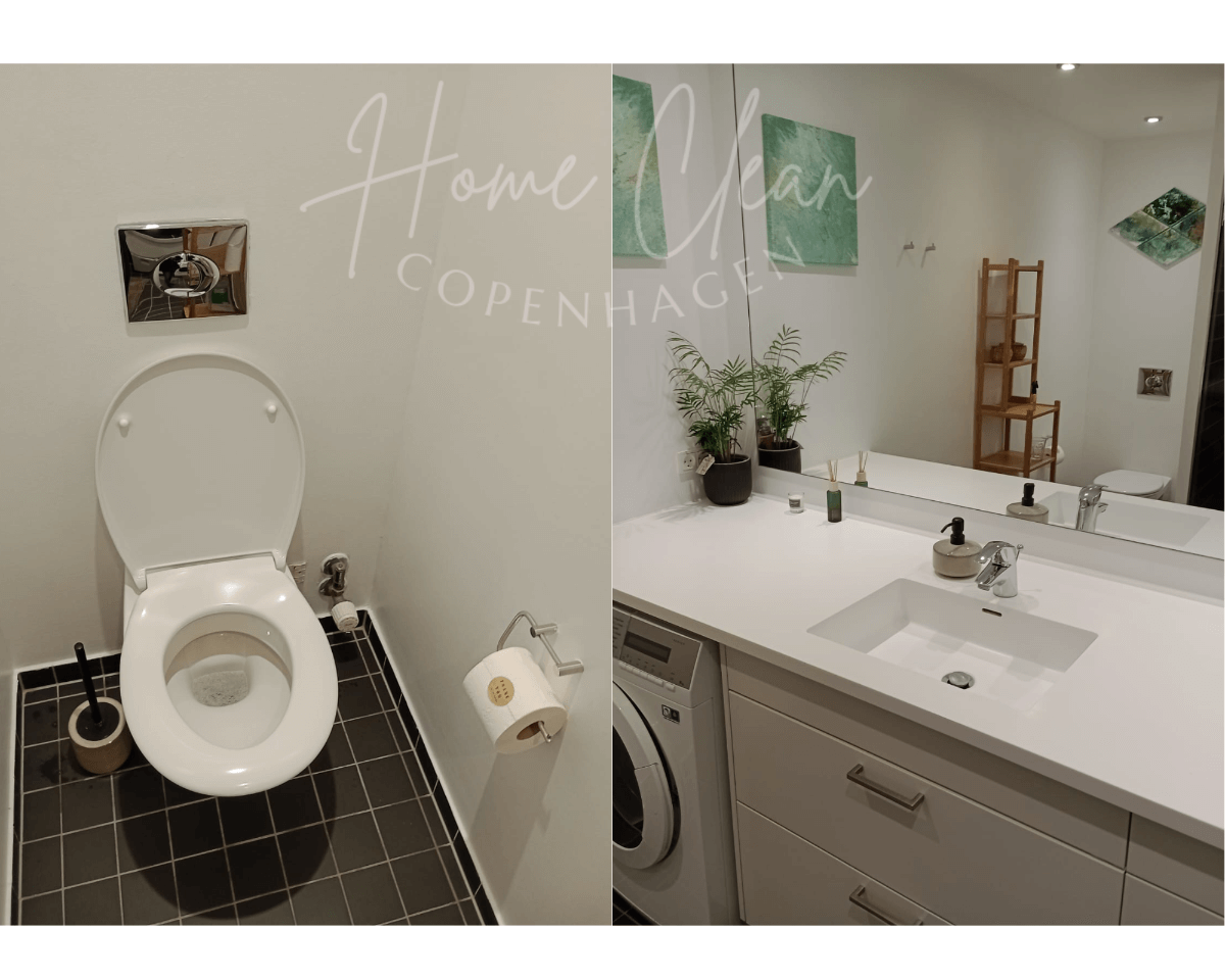 Basic Cleaning Service in Copenhagen