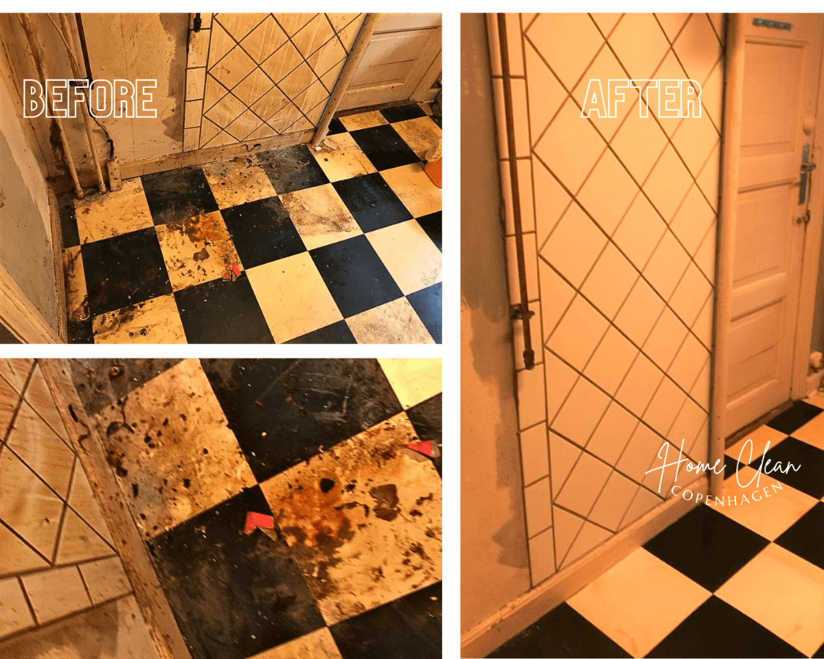 Move-In/Out Cleaning Service in Copenhagen