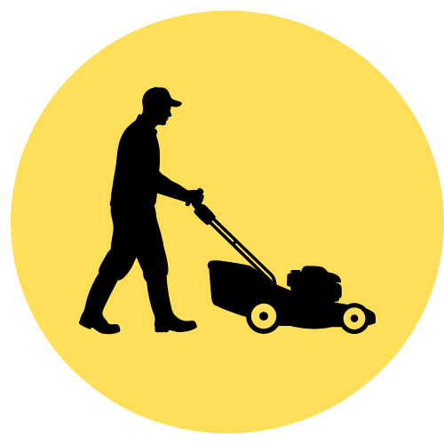 Copy_of_Anita_Negro_4_98911bde-65b5-4cee-a895-c21efff36b57