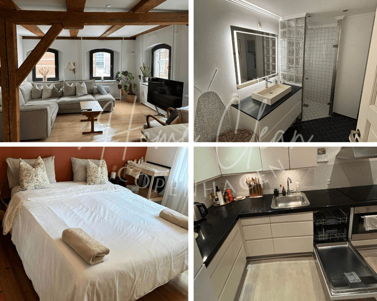 Basic Cleaning Service in Copenhagen