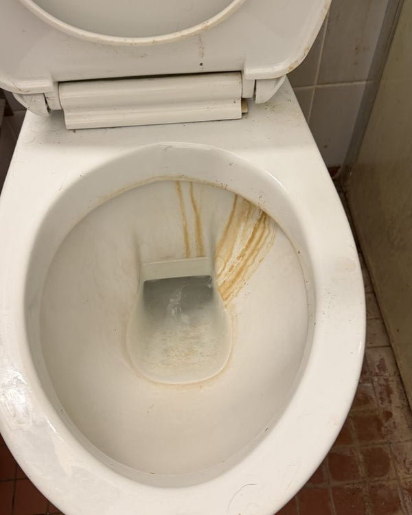 Toilet – kalk og belægninger – før