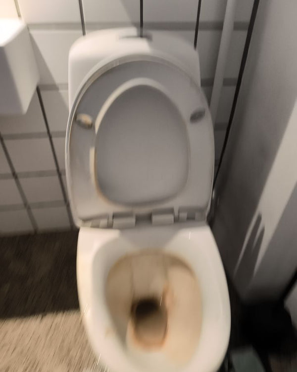 Toilet – før
